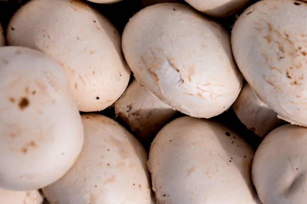 istock White Mushroom Food 1133806878