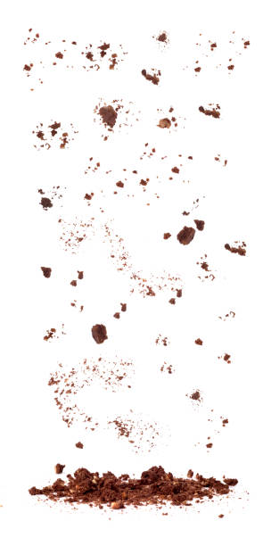 istock cookies crumbs set isolated 1133811642