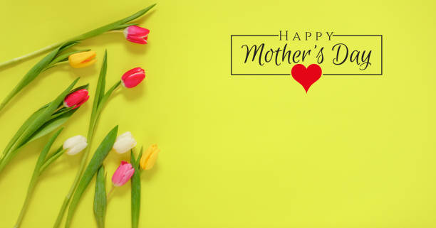 istock International Women's Day on 8 March design. 1133813165