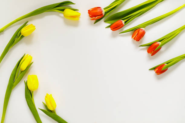 istock International Women's Day on 8 March design. 1133813171