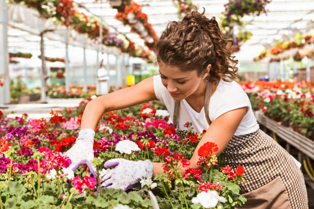 istock Young woman gardener enjoying her work 1133815398