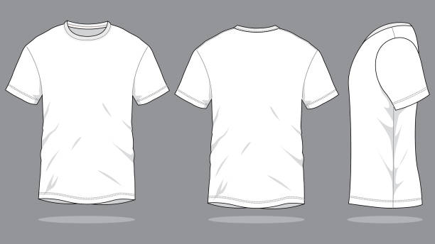 ilustrações de stock, clip art, desenhos animados e ícones de white t-shirt vector for template - dorso humano