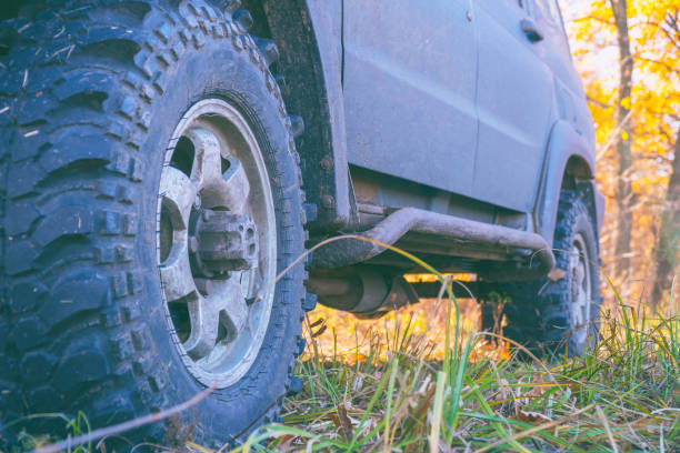 istock Wheels off-road car standing on the grass in the forest 1133830869