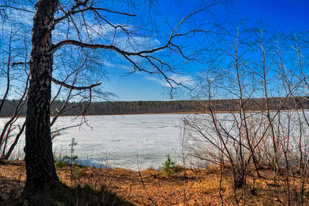 istock early spring, ice melts on the lake 1133831471