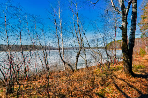 istock early spring, ice melts on the lake 1133832103