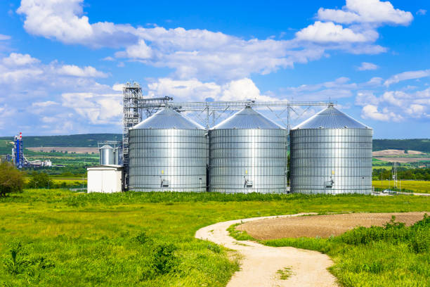 landscape. bright nature. elevator. large aluminum containers for storing cereals in the background of blue sky and volumetric clouds - barley grass field green imagens e fotografias de stock