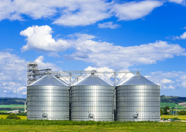 landscape. bright nature. elevator. large aluminum containers for storing cereals in the background of blue sky and volumetric clouds - barley grass fotos imagens e fotografias de stock