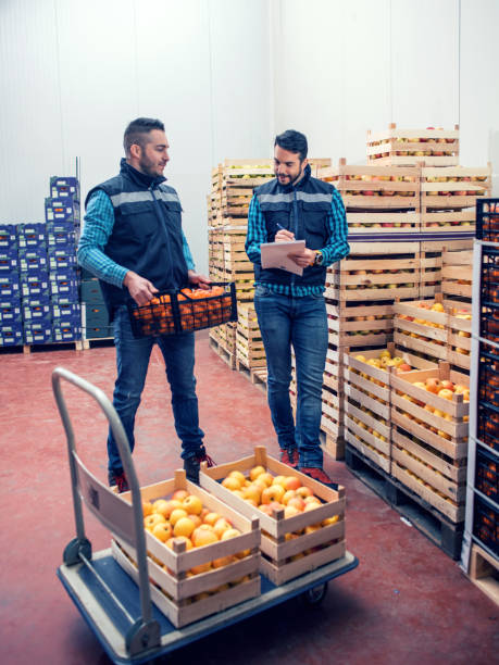 istock Fresh fruits and vegetables in warehouse 1133834604