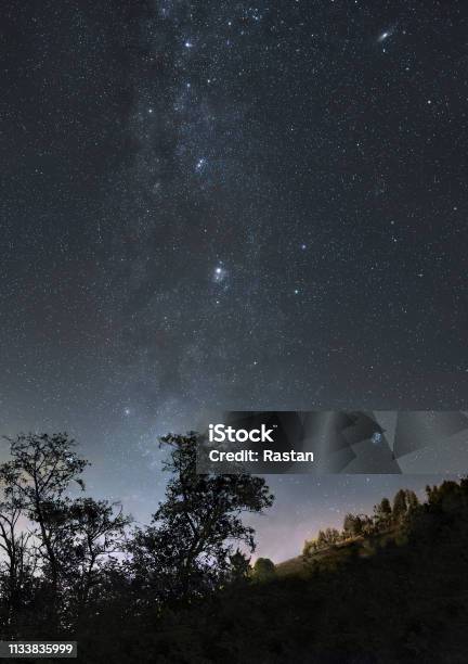 Starry Night Sky Stock Photo - Download Image Now - Constellation, Forest, Hill