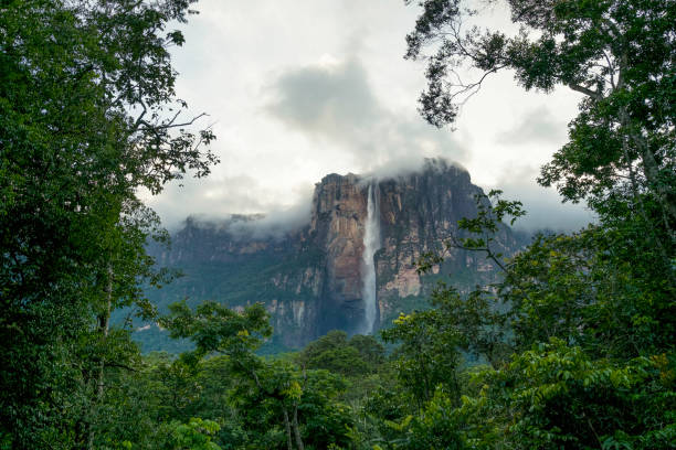 istock Angel falls, Canaima National Park, Venezuela 1133836669