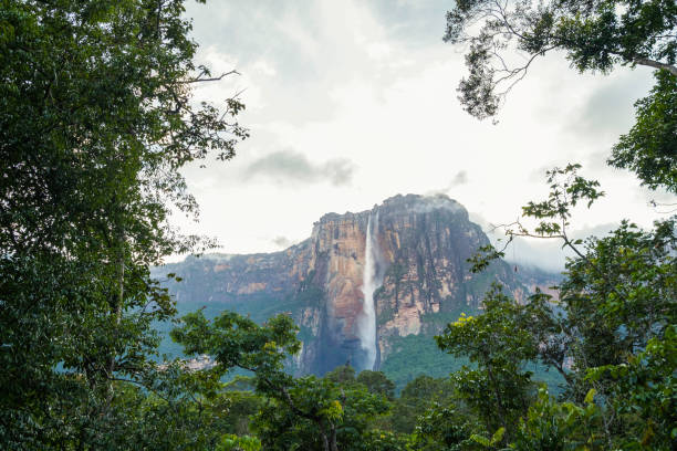 istock Angel falls, Canaima National Park, Venezuela 1133836716