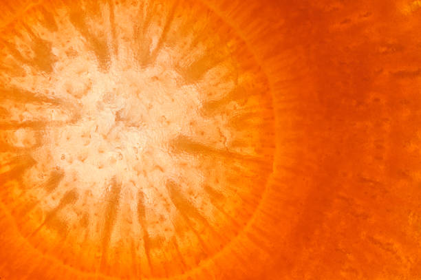 gemüseabstrakt hintergrund. - orange frucht fotos stock-fotos und bilder