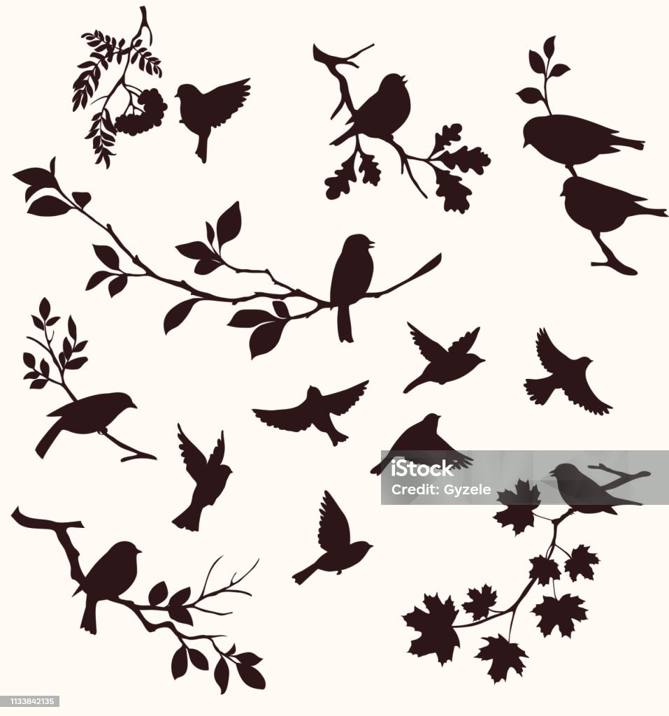 Zestaw ptaków i gałązek.  Dekoracyjna sylwetka ptaków siedzących na gałęziach drzew: dębu, klonu, brzozy, jarzębiny i innych. Latające ptaki - Grafika wektorowa royalty-free (Ptak)