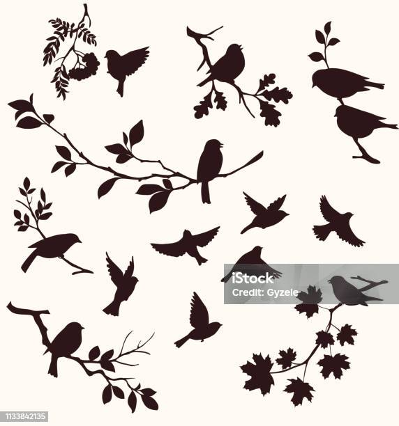 Set Of Birds And Twigs Decorative Silhouette Of Birds Sitting On Tree Branches Oak Maple Birch Rowan And Others Flying Birds Stock Illustration - Download Image Now