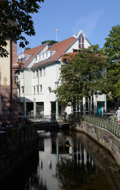 istock Fishing district in Freiburg 1133842198