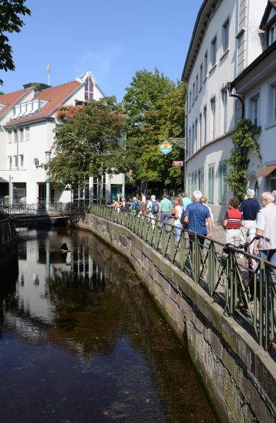 istock Fishing district in Freiburg 1133842203