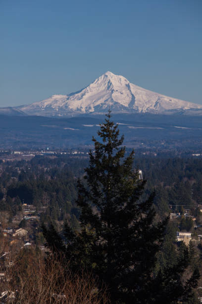 istock Mt hood in Portland 1133842433