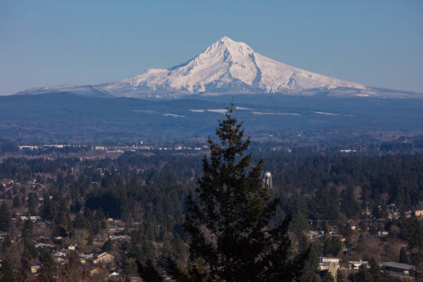 istock Mt hood in Portland 1133842485