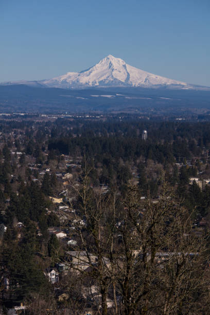 istock Mt hood in Portland 1133842499