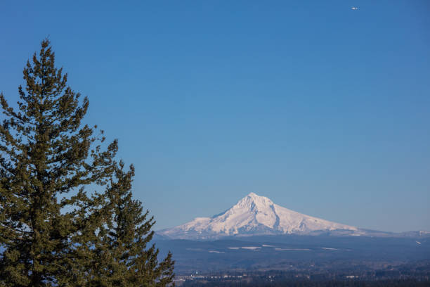 istock Mt hood in Portland 1133842536