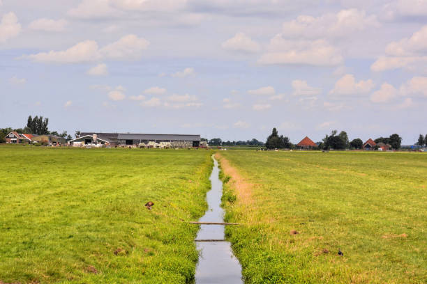 istock European natural countryside 1133848876