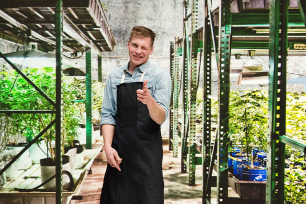 istock Marijuana shop - Male worker is doing finger gun 1133848953