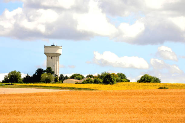 istock European natural countryside 1133849100
