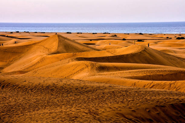 istock Desert with sand dunes in Gran Canaria Spain 1133849185