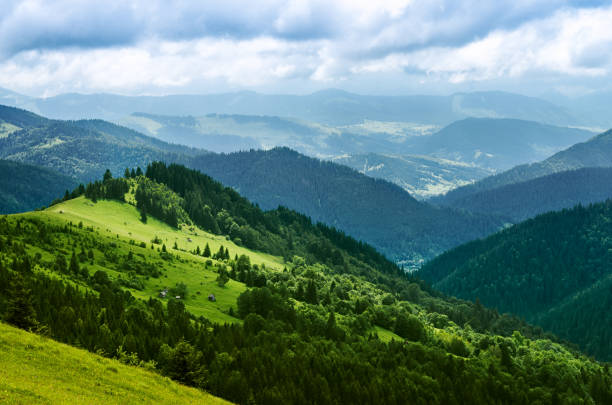 istock Landscape from height to mountain slopes, meadow 1133849227