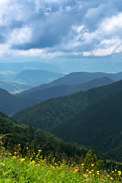 istock Landscape from height to mountain slopes, meadow 1133849514