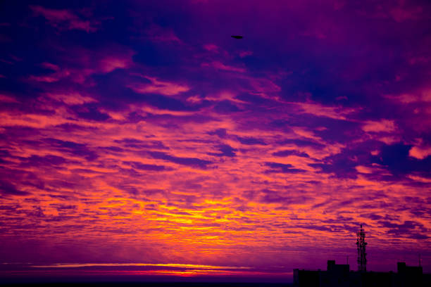 The sky in pink purple flowers before sunrise stock photo