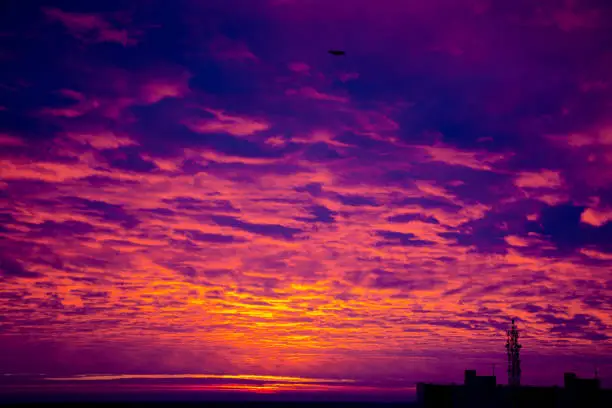 The sky in pink purple flowers before sunrise
