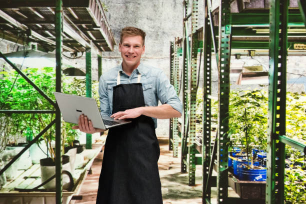 istock Marijuana shop - Male worker is working on laptop 1133850900