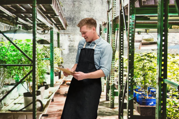 istock Marijuana shop - Male worker is holding a clipboard 1133850982