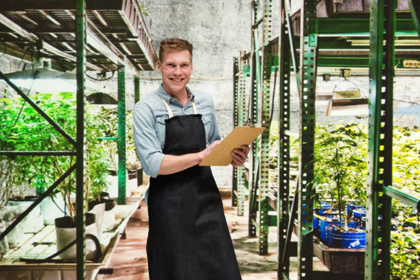 istock Marijuana shop - Male worker is holding a clipboard 1133851235