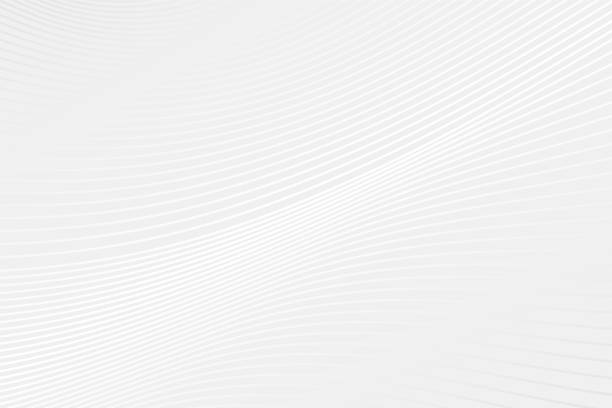 abstrakcyjny wzór krzywej wektora. szare i białe tło fali gradientu. ilustracja do projektowania, prezentacji, próbki, dekoracji, stron internetowych, koncepcji - white abstract background stock illustrations