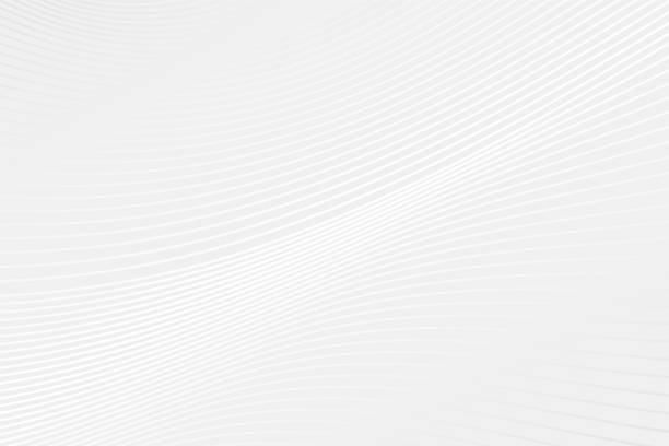 ilustrações de stock, clip art, desenhos animados e ícones de abstract vector curve pattern. grey and white gradient wave background. illustration for design, presentation, sample, decoration, web, concept - branco