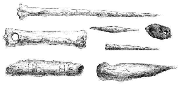 ilustrações, clipart, desenhos animados e ícones de objetos aurignacianos encontrados com "o homem fóssil de menton" em balzi rossi caves, liguria, itália-43.000 a 37.000 anos atrás - prehistoric antiquity