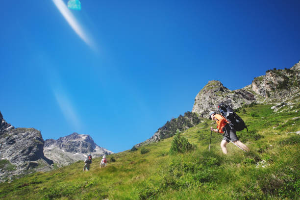 istock Family hiking in mountains 1133853106