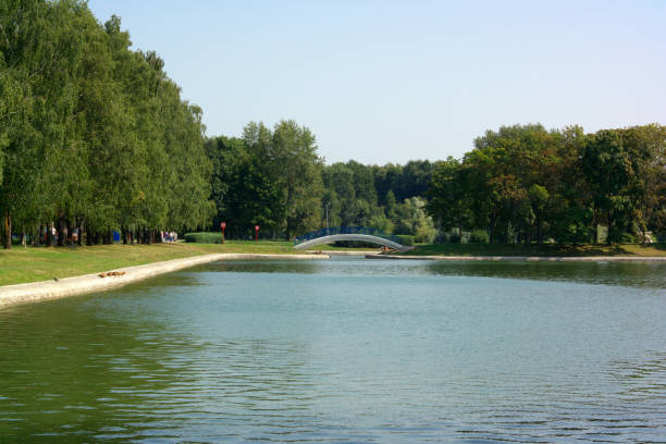 istock summer in city park 1133853317