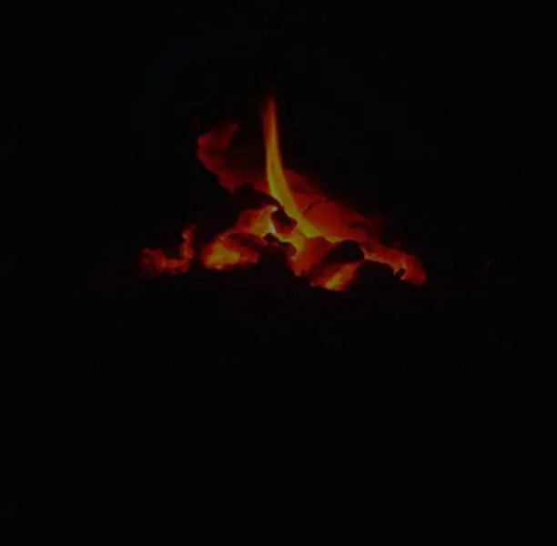 Burning wood to get warm outside on winter late night feels the beauty of sky.