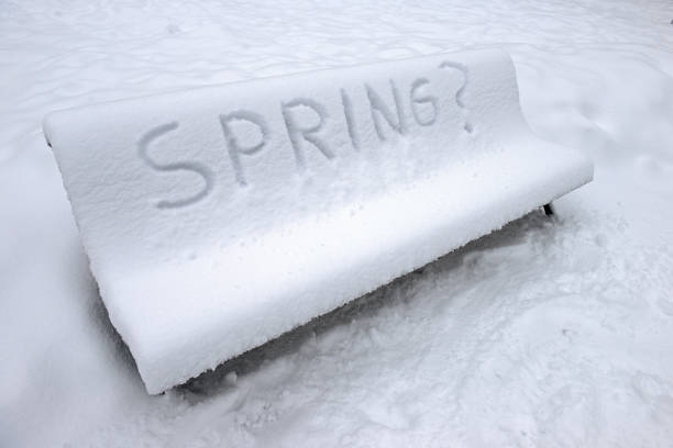 banco de parque cubierto de nieve y escrito primavera en inglés - groundhog day fotografías e imágenes de stock