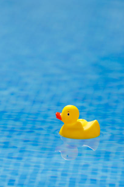 istock yellow rubber duck in blue swimming pool 1133856554