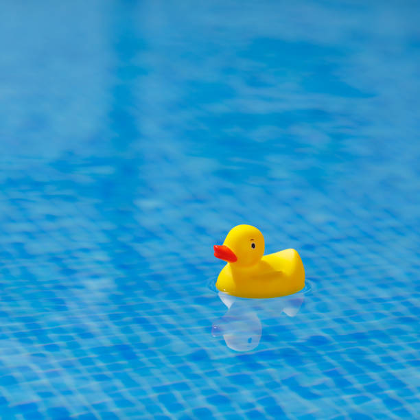 istock yellow rubber duck in blue swimming pool 1133856615