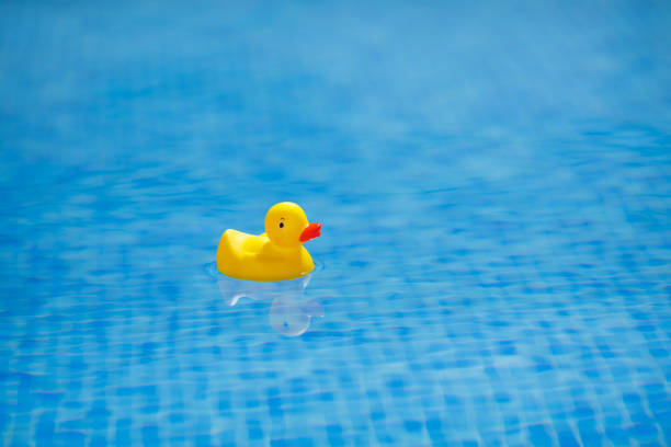 istock yellow rubber duck in blue swimming pool 1133856702