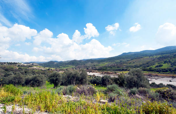 istock River Valley in the Troodos Mountains, Cyprus 1133856764