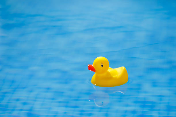 istock yellow rubber duck in blue swimming pool 1133856765