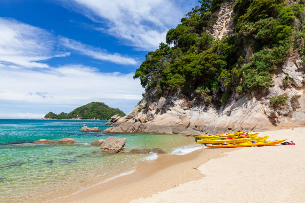 Paradise beach in Abel Tasman National Park, New Zealand Kayaking activity in Abel Tasman national park let the tourists approach desert sand beaches and wonderful islands and coasts covered by native forests abel tasman national park stock pictures, royalty-free photos & images