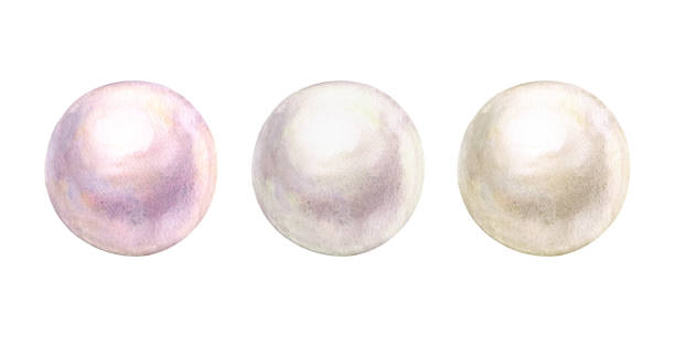перл набор акварели блестящие природные морские перламутровые изолированы на белом фоне. - water fire circle ball stock illustrations