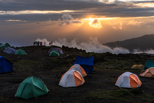 Tents of hikers attempting to climb Mount Kilimanjaro in Shira camp during sunset